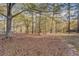 Spacious backyard with mature trees and ample space for outdoor activities at 960 Todd Dr, Covington, GA 30014