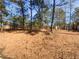 Large backyard with pine trees and pine straw ground cover at 9129 Bent Pine Ne Ct, Covington, GA 30014
