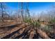 Wooded area with a pond at 200 Heath Rd, Carrollton, GA 30116
