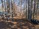Wooded area with RV and tires at 200 Heath Rd, Carrollton, GA 30116