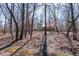 Secluded home nestled amongst tall trees on a hill at 200 Heath Rd, Carrollton, GA 30116