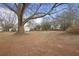 Large backyard with mature trees and shed at 1155 Casteel Rd, Powder Springs, GA 30127