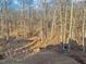 Wooded backyard with mature trees and a cleared area at 3939 Hamilton Mill Rd, Buford, GA 30519