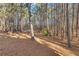 Wooded backyard provides a private and natural setting at 4684 Pine Dr, Loganville, GA 30052