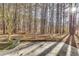 Concrete patio area shaded by trees in the backyard at 4684 Pine Dr, Loganville, GA 30052