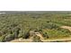 Aerial view of a house nestled in a wooded area with a long driveway at 248 Billy Bullock Rd, Dallas, GA 30157