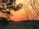 Orange and pink sunset view through tree branches at 248 Billy Bullock Rd, Dallas, GA 30157