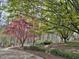 Landscaped yard with mature trees and colorful foliage at 3781 Anneewakee Rd, Douglasville, GA 30135