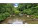 This property features a clear, gentle river flowing through a lush, green forest, perfect for nature lovers at 3781 Anneewakee Rd, Douglasville, GA 30135