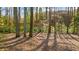 The backyard features a naturally wooded landscape with mature trees and natural growth at 2732 Suwanee Se Way, Marietta, GA 30067