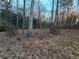 Wooded area behind the house at 1821 N Oak Dr, Lawrenceville, GA 30044