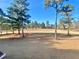 View of a tree-lined backyard with a large open area at 9801 Waters Edge Pointe, Villa Rica, GA 30180