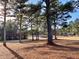 Golf course with tall trees casting shadows at 9801 Waters Edge Pointe, Villa Rica, GA 30180