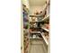 Well-organized pantry with ample shelving for storage at 9801 Waters Edge Pointe, Villa Rica, GA 30180