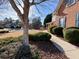 Landscaped side yard with a walkway, bushes, and a tree at 9801 Waters Edge Pointe, Villa Rica, GA 30180