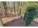 Wooded backyard view with tall trees and ivy at 3405 Doral Ln, Woodstock, GA 30189