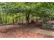 Landscaped pathway meandering through lush woods at 4130 Little Falls Dr, Cumming, GA 30041