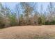 The lawn of this backyard is well maintained and has mature trees at 100 Arthurs Ln, Covington, GA 30016