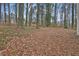 Wooded backyard with leaf covered ground at 2105 Cornerstone Sw Ln, Marietta, GA 30064