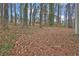 Wooded backyard with leaf covered ground at 2105 Cornerstone Sw Ln, Marietta, GA 30064