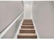 Carpeted staircase with white railings at 1855 Charleston Oak Cir, Lawrenceville, GA 30043