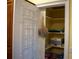 Pantry with wire shelving and additional storage at 95 Twin Lakes Dr, Carrollton, GA 30116