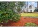 Landscaped front yard with a small citrus tree and pine straw at 1992 Walthall Nw Dr, Atlanta, GA 30318