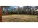 Open backyard with mature trees and open space at 213 Cades Ct, Mcdonough, GA 30252