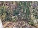 Wooded backyard with a stream and natural landscaping at 3160 Hathaway Ct, Atlanta, GA 30341