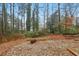 Wooded backyard with natural landscaping and a flat clearing at 3160 Hathaway Ct, Atlanta, GA 30341