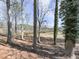 Wooded backyard with tall trees and open space at 337 Theodore Cox Cir, Canton, GA 30114