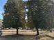 Landscaped yard with two large trees at 2244 Alpha Dr, Decatur, GA 30032