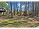 Wooded backyard with tall trees and open grassy area at 1058 Hickory Rd, Canton, GA 30115