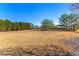 Open grassy backyard with distant home view at 160 Thistlewood Ln, Fayetteville, GA 30214