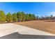 Large backyard with grassy area and trees at 160 Thistlewood Ln, Fayetteville, GA 30214