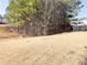 Wooded backyard behind a new home community at 3985 Starwood Dr, Cumming, GA 30028