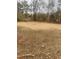 Backyard area with cleared space and surrounding trees at 11564 Holly Ln, Hampton, GA 30228