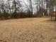 Large backyard with pine straw and mature trees at 11564 Holly Ln, Hampton, GA 30228