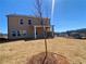 Back exterior view of new construction home showcasing the yard with a covered patio and a clear blue sky at 405 Westmarch Cir, Loganville, GA 30052