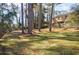 Sunny backyard with tall trees and a wood fence at 3318 Northcrest Rd # D, Atlanta, GA 30340