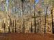 Secluded wooded lot with mature trees, offering privacy and tranquility at 4534 Parkway Cir, Atlanta, GA 30349