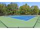 Two well-maintained tennis courts, perfect for recreation at 4780 Rambling Rose Dr, Cumming, GA 30040