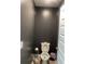 This powder room features gray walls, white door, and toilet at 11547 Hathaway Dr, Hampton, GA 30228