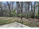 Private backyard with wooded area and concrete patio at 1679 Eastside Parc St, Atlanta, GA 30316