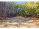 Sunny, wooded backyard with a clearing at 166 Greentree Trl, Temple, GA 30179