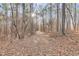 Sunny wooded path with tall pines at 166 Greentree Trl, Temple, GA 30179