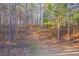 Wooded backyard path leading to clearing at 166 Greentree Trl, Temple, GA 30179