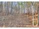 Wooded backyard path with leaf-covered ground at 166 Greentree Trl, Temple, GA 30179
