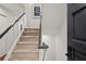 Modern carpeted staircase with dark wood railing leading to upper level at 16 Ivy Ne Rdg, Atlanta, GA 30342