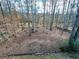 Large backyard with wooded area and playset at 733 Exchange Mill, Dacula, GA 30019